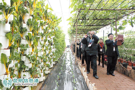 建设高原特色都市现代农业发展载体是今年的重点任务之一.